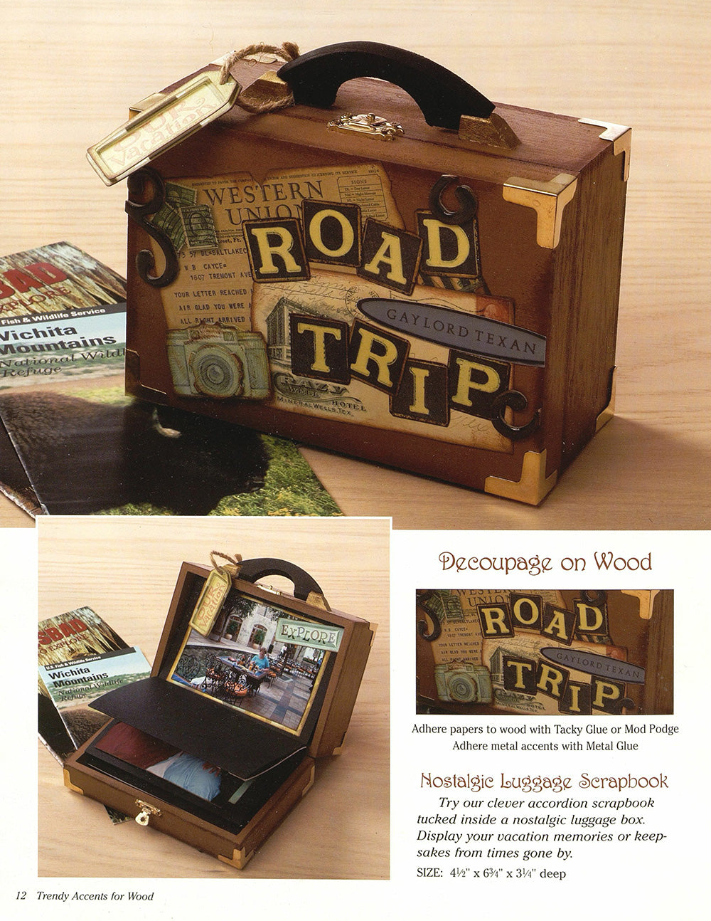 Trendy Accents for Wood - Fox Chapel Publishing Co.