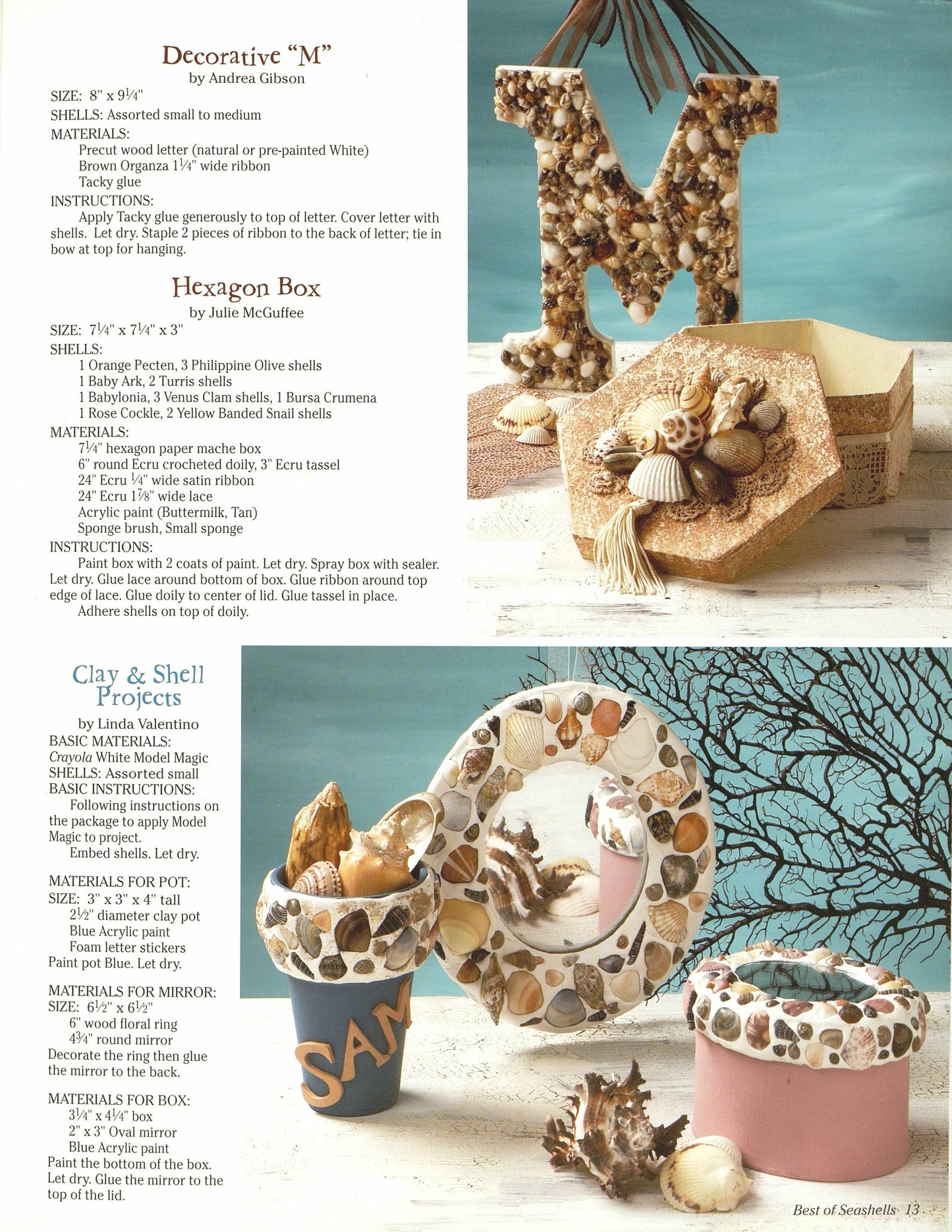 Best Of Seashells - Fox Chapel Publishing Co.