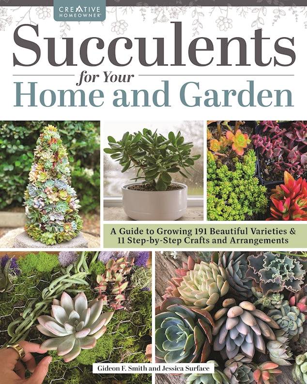 gallery of succulents Succulents for Your Home and Garden : A Guide to Growing 191 Beautiful Varieties & 11 Step-By-Step Crafts and Arrangements