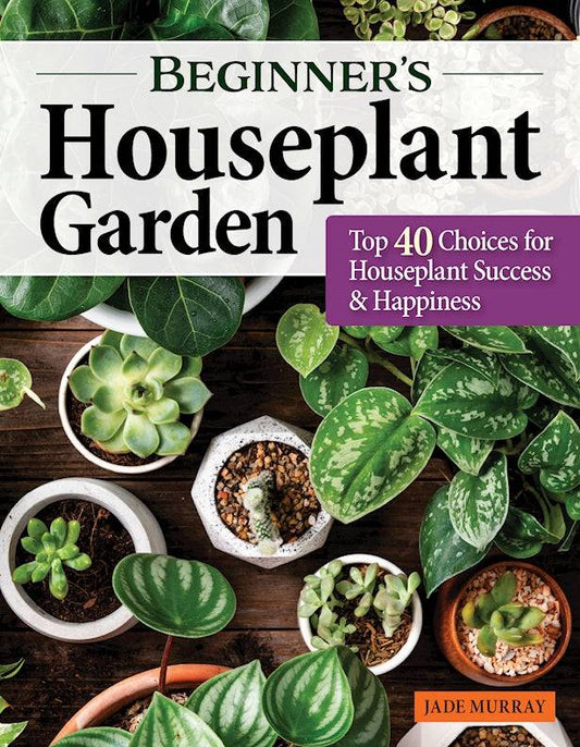 Beginner's Houseplant Garden