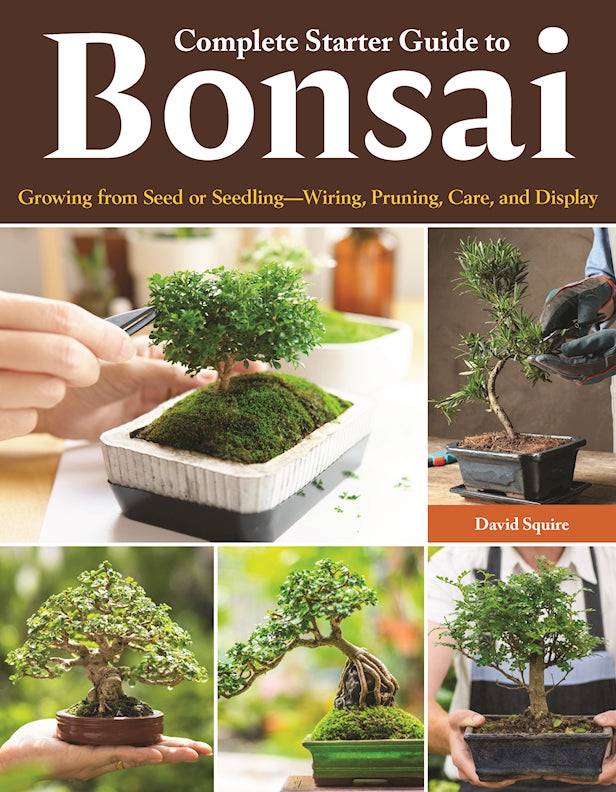 bonsai tree guide pdf Complete Starter Guide to Bonsai