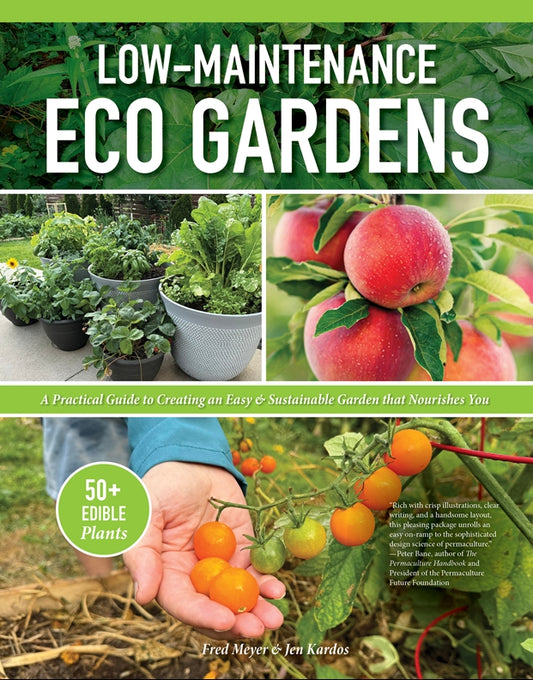 Low-Maintenance Eco Gardens