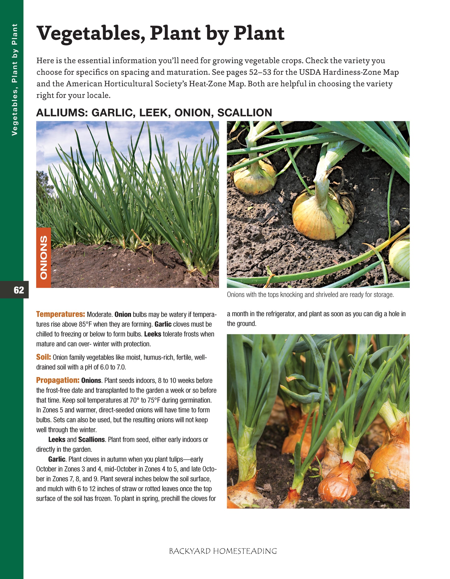 Backyard Homesteading, Second Revised Edition - Fox Chapel Publishing Co.