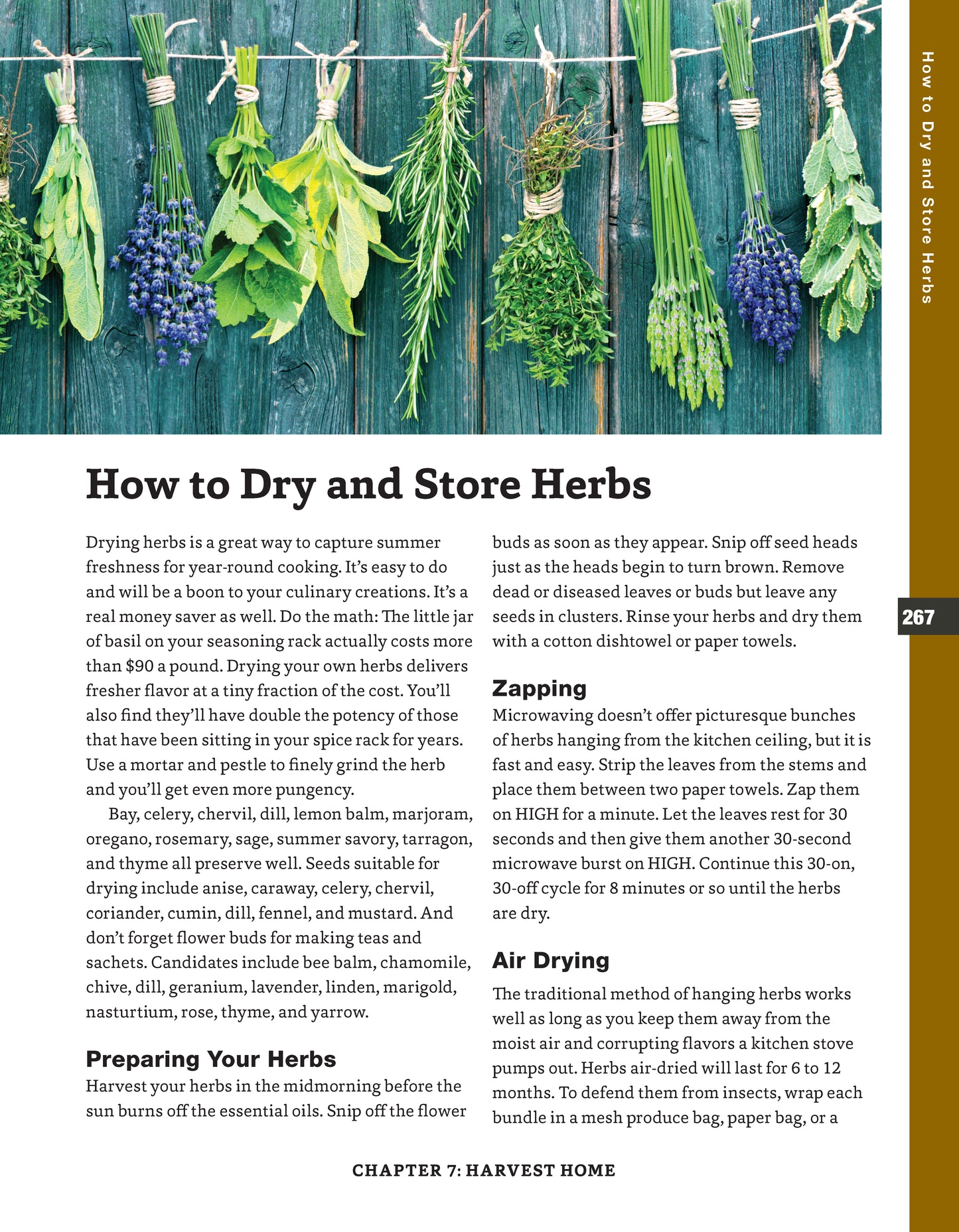Backyard Homesteading, Second Revised Edition - Fox Chapel Publishing Co.