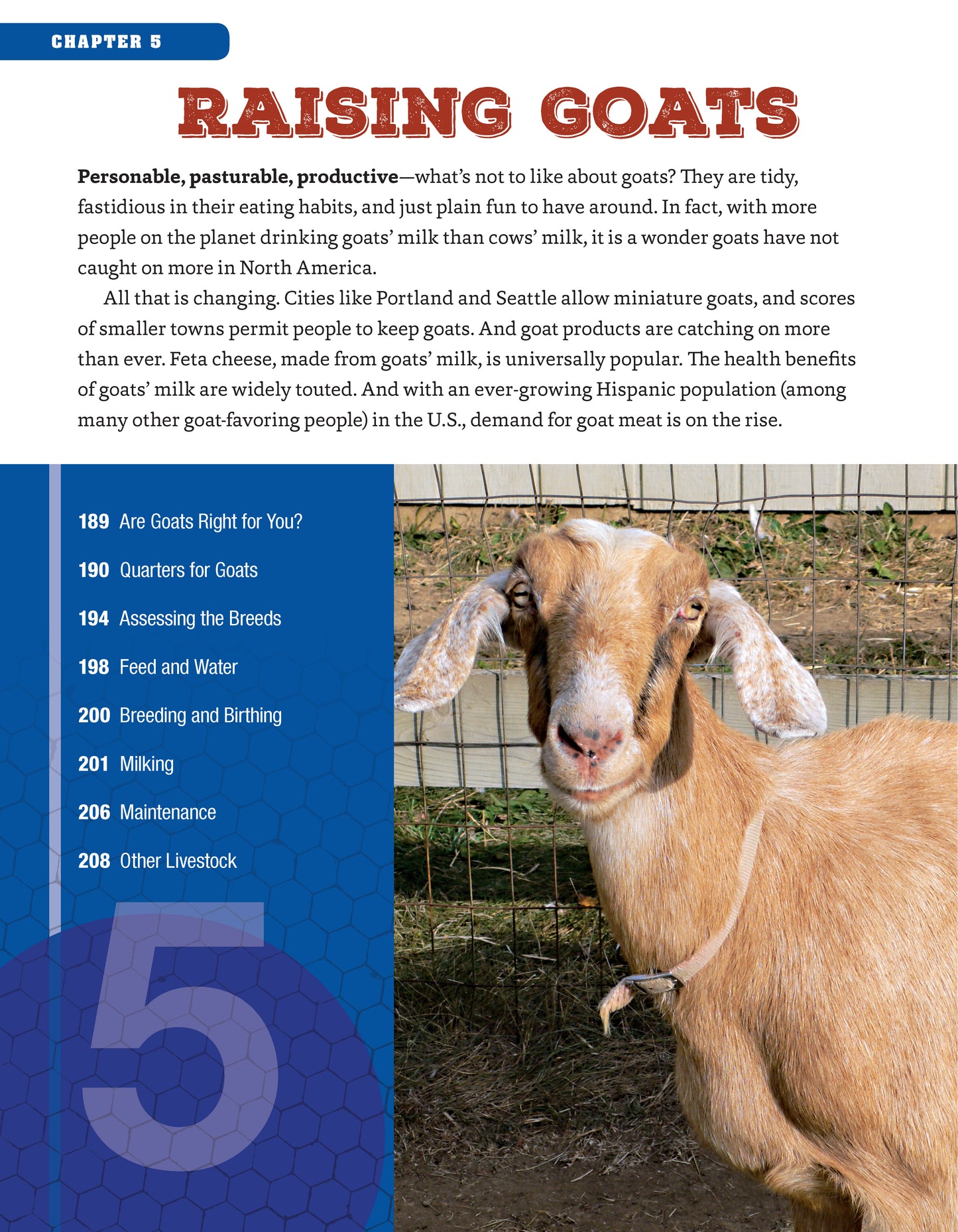 Backyard Homesteading, Second Revised Edition - Fox Chapel Publishing Co.