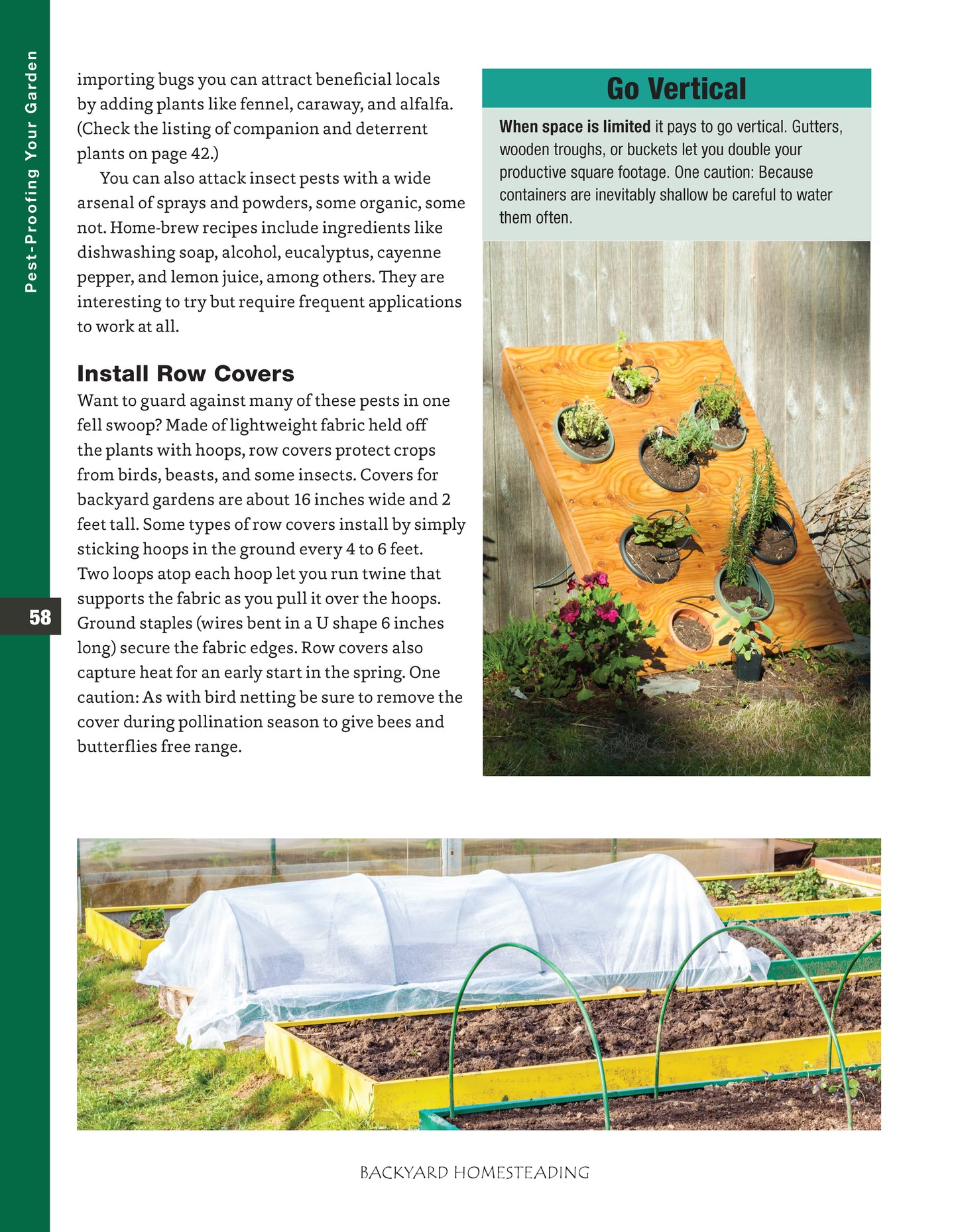 Backyard Homesteading, Second Revised Edition - Fox Chapel Publishing Co.