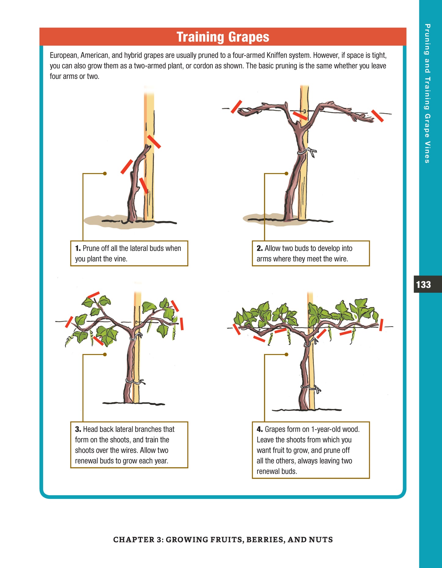 Backyard Homesteading, Second Revised Edition