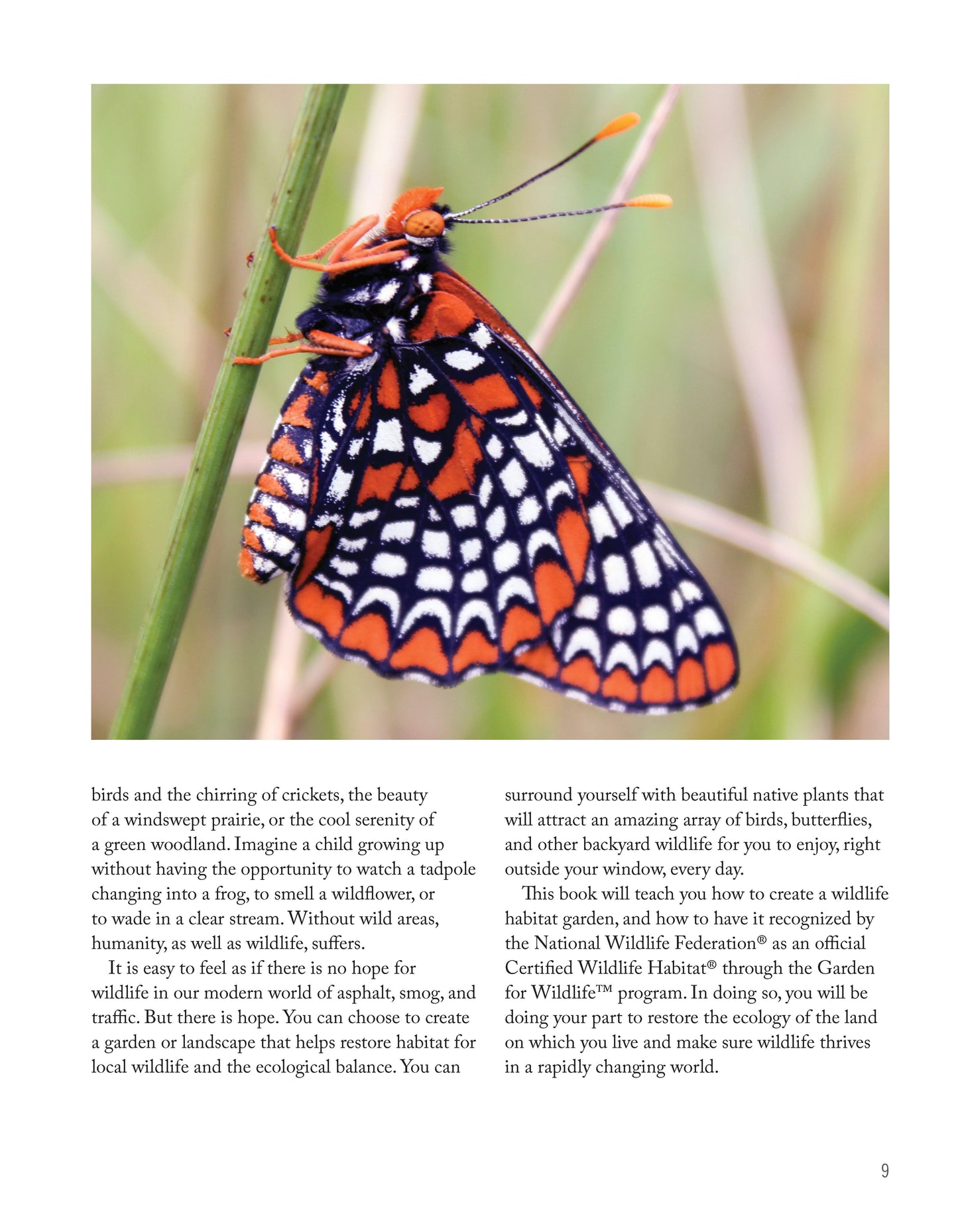 National Wildlife Federation®: Attracting Birds, Butterflies, and Other Backyard Wildlife, Expanded Second Edition