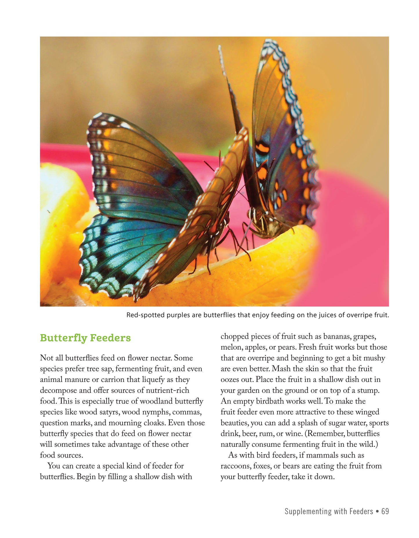 National Wildlife Federation®: Attracting Birds, Butterflies, and Other Backyard Wildlife, Expanded Second Edition