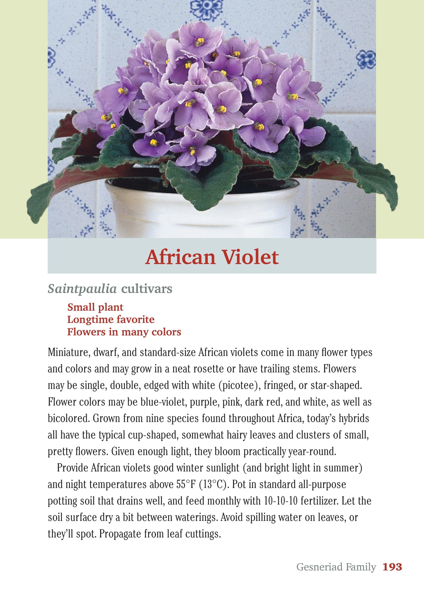Pocket Guide to Houseplants