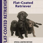 Flat-Coated Retriever