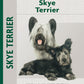 Skye Terrier