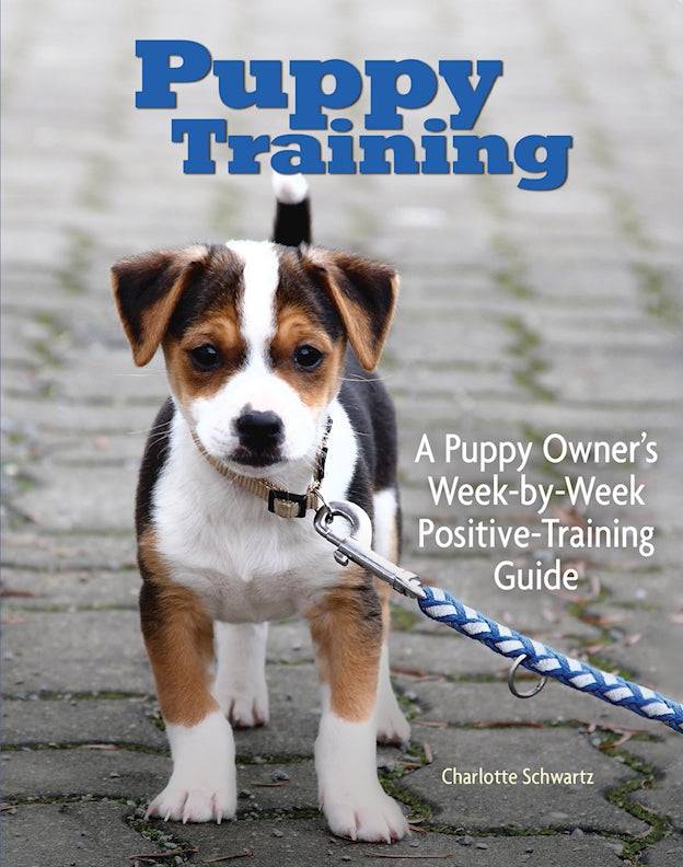 Puppy Training