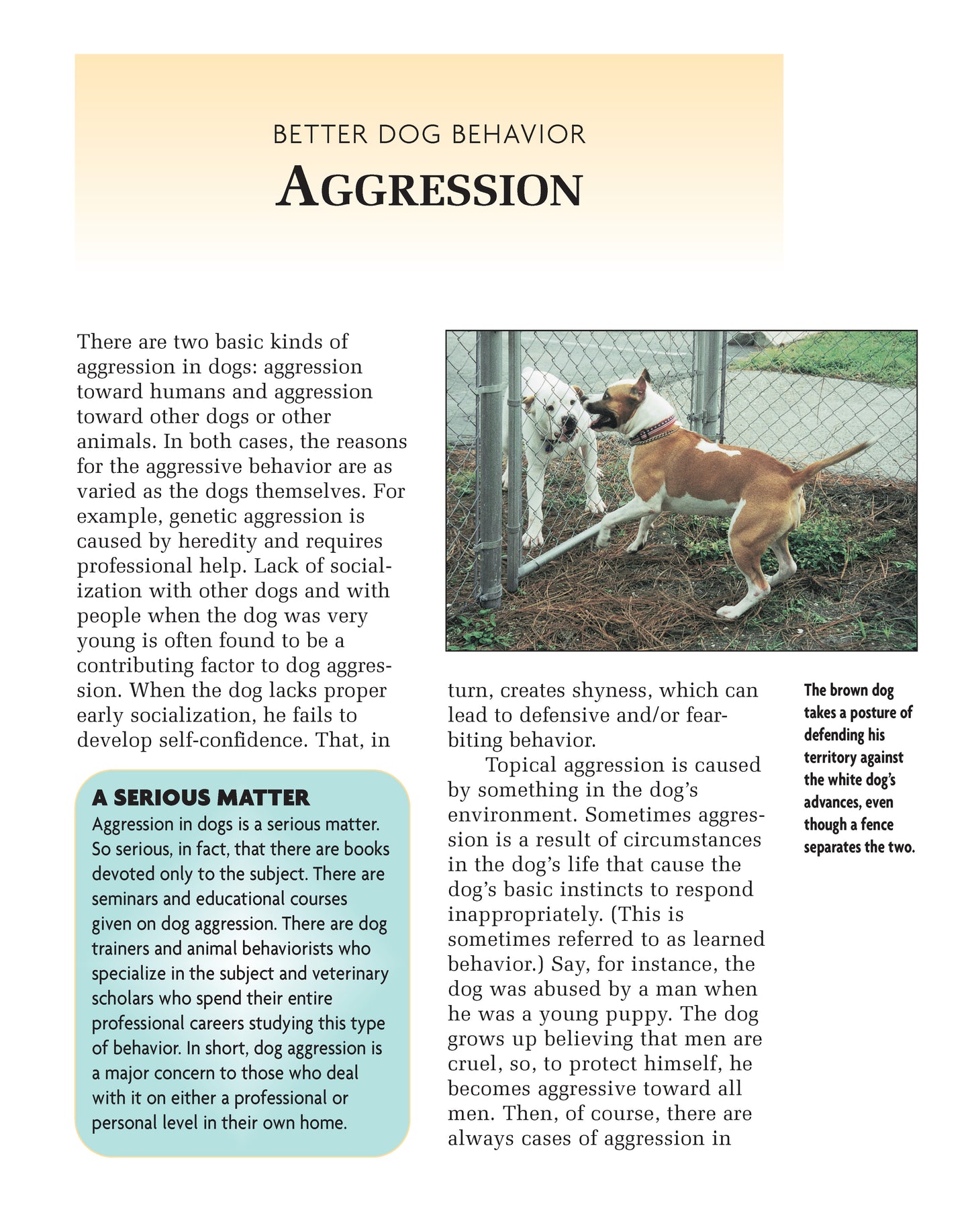 Better Dog Behavior and Training - Fox Chapel Publishing Co.