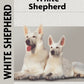 White Shepherd