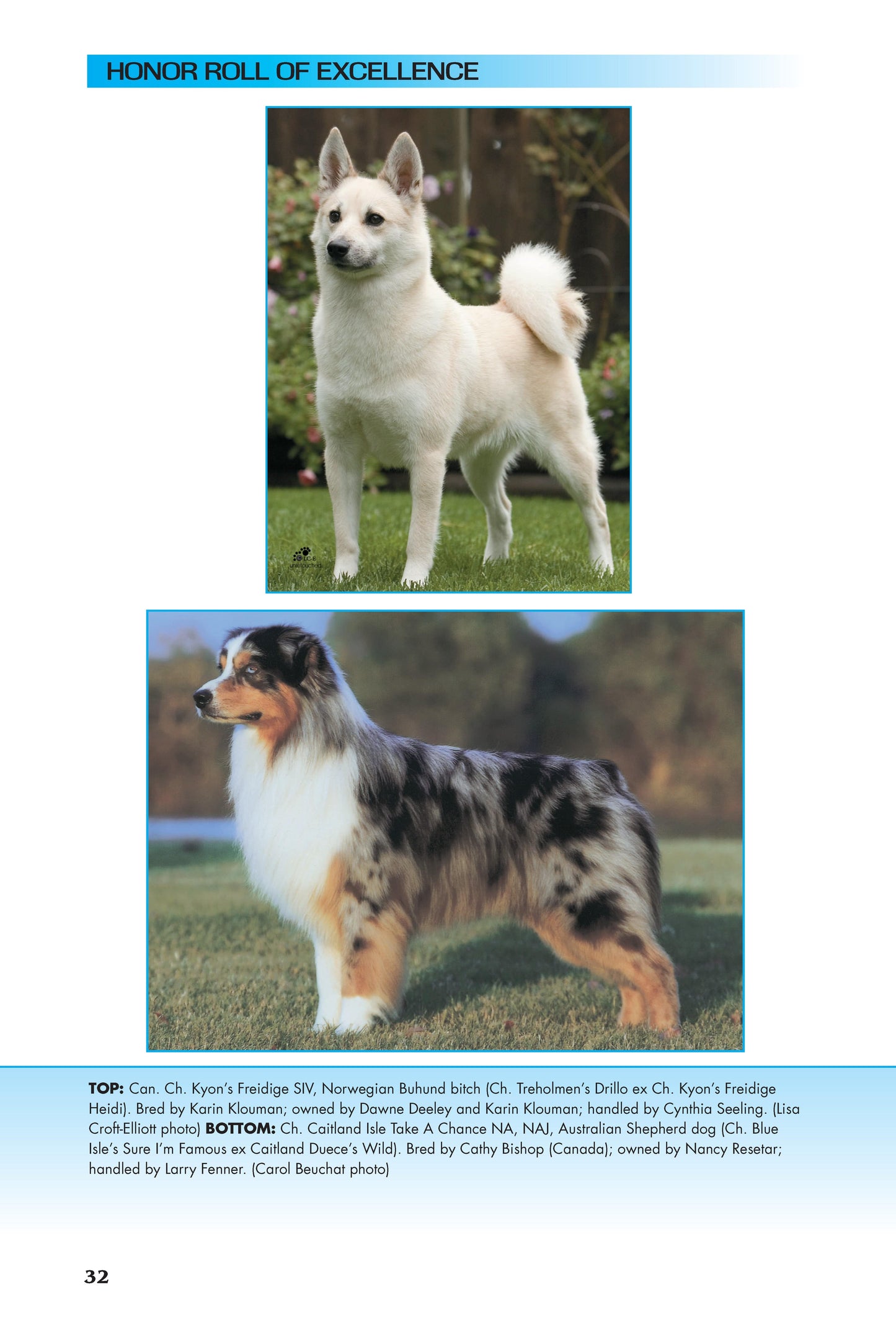 Solving the Mysteries of Breed Type - Fox Chapel Publishing Co.