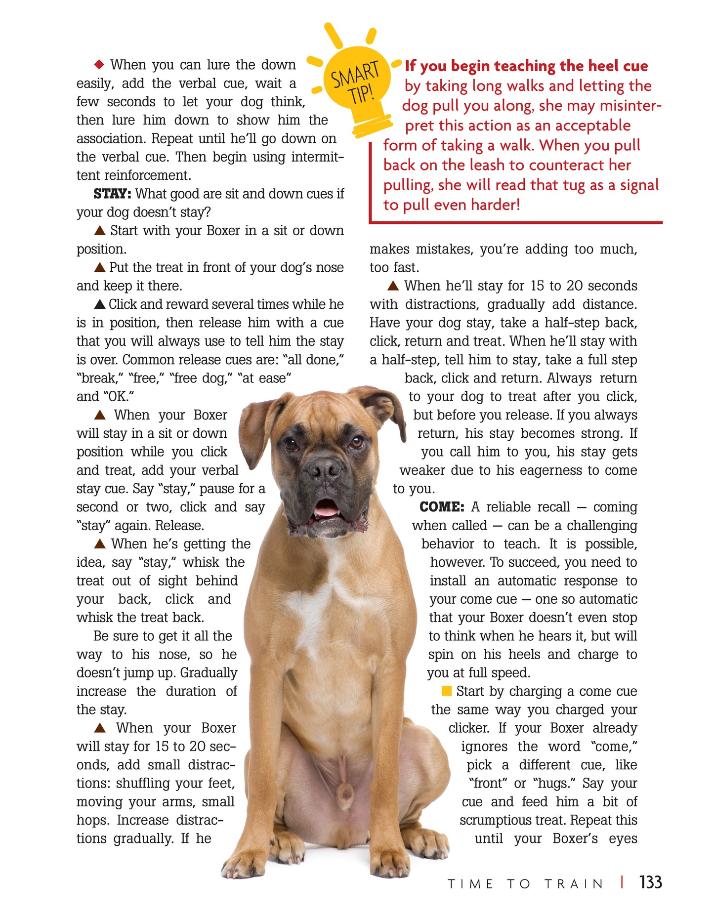 Boxer
