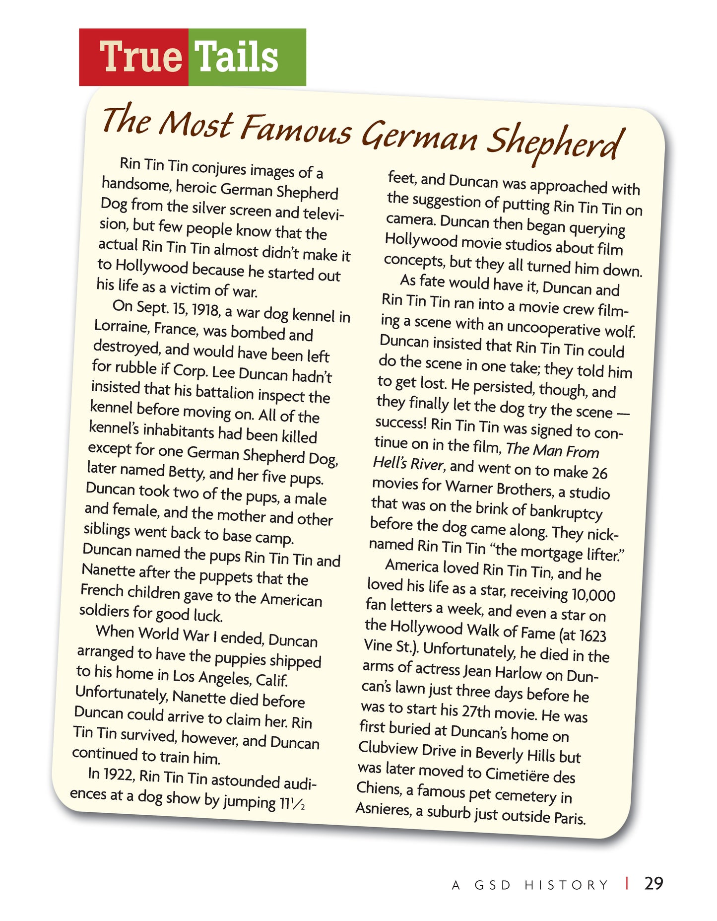 German Shepherd Dog