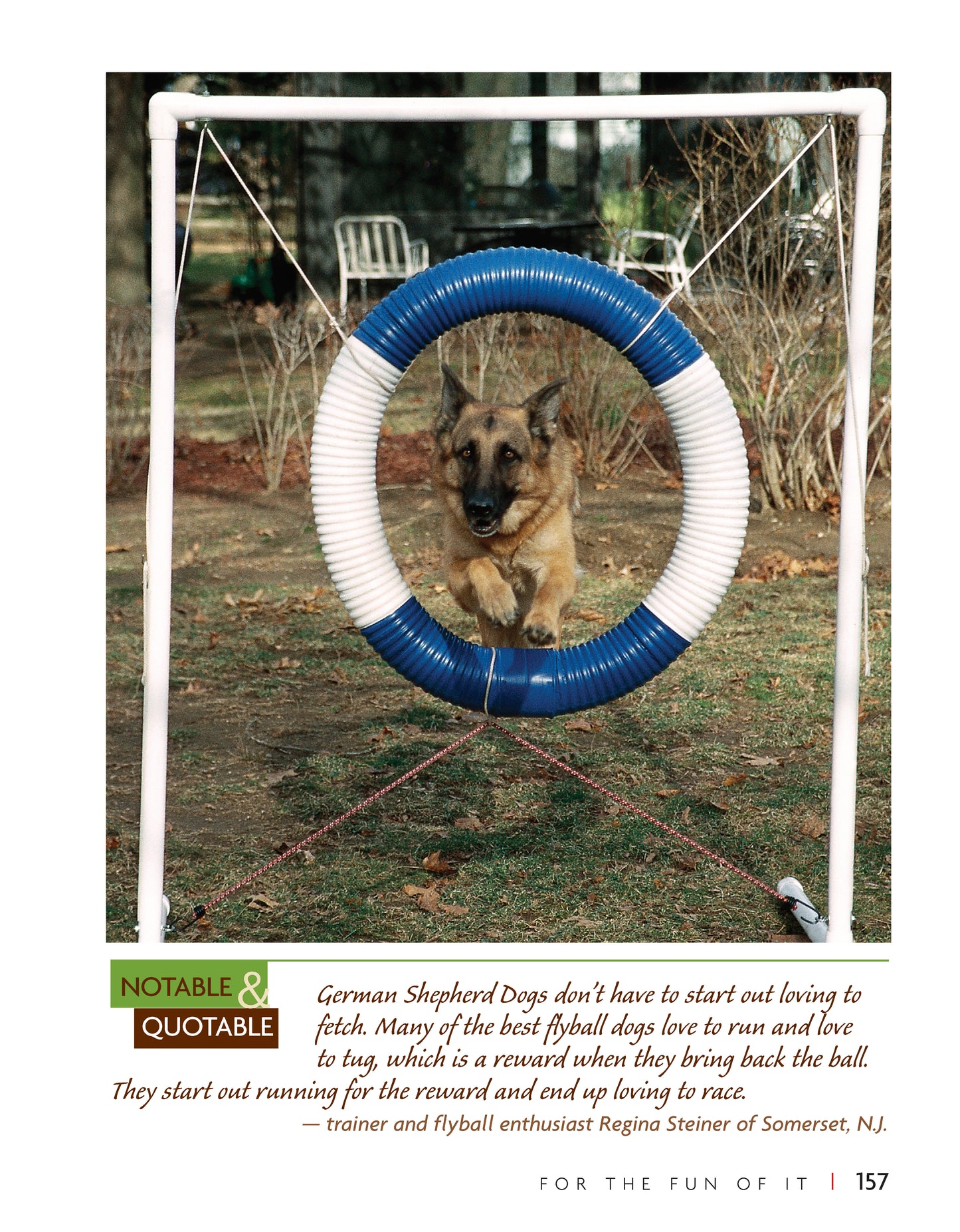 German Shepherd Dog