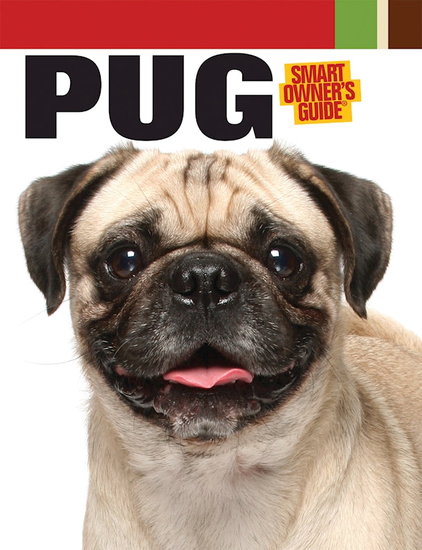 Pug owners sale guide