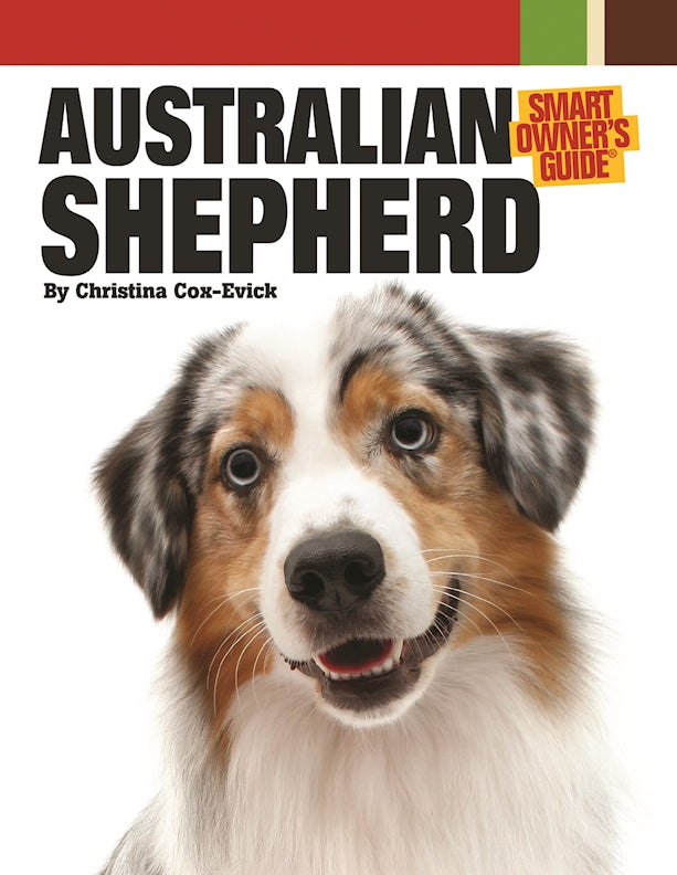 Australian Shepherd Dog