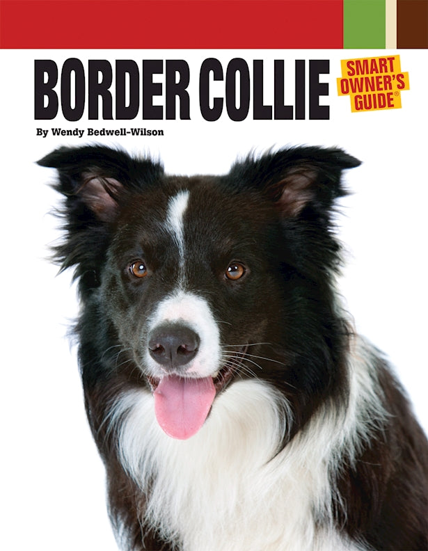 Border Collie Coloring Book: A Cute Adult Coloring Books for Border Collie  Owner, Best Gift for Border Collie Lovers