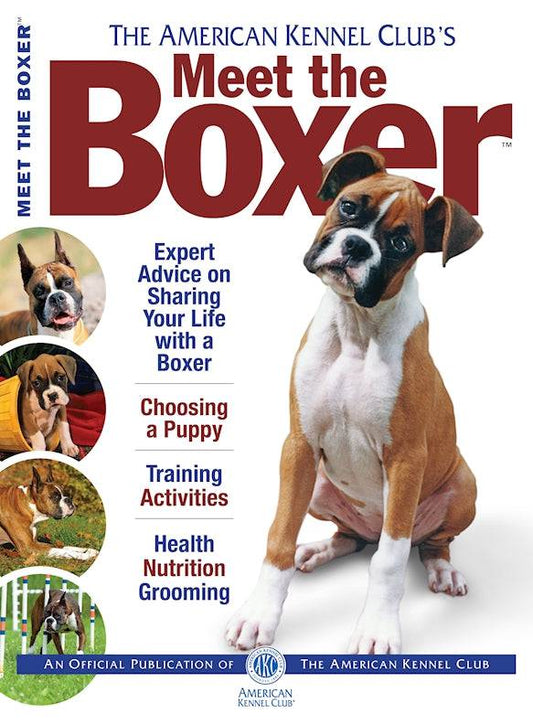 Meet the Boxer - Fox Chapel Publishing Co.
