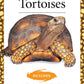 Popular Tortoises (Advanced Vivarium Systems)