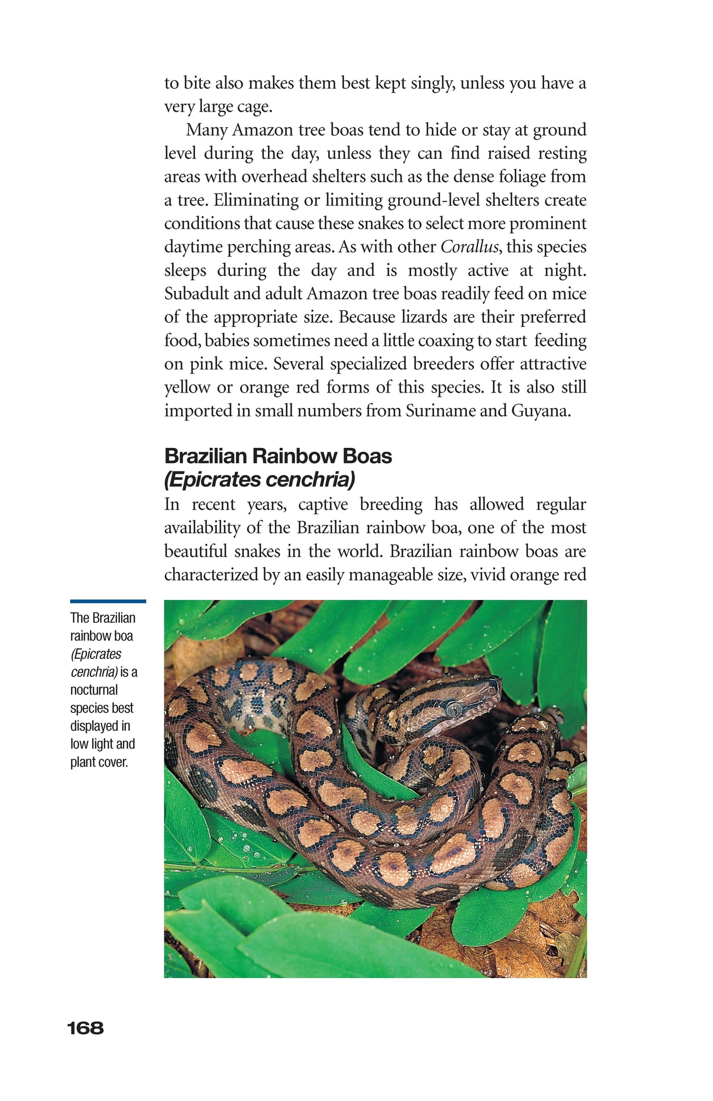 The Art of Keeping Snakes - Fox Chapel Publishing Co.