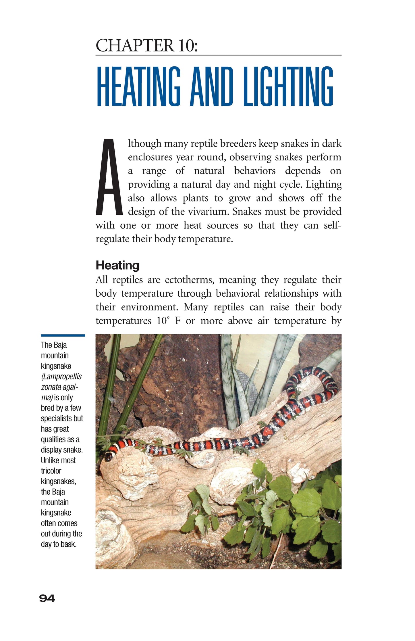 The Art of Keeping Snakes - Fox Chapel Publishing Co.