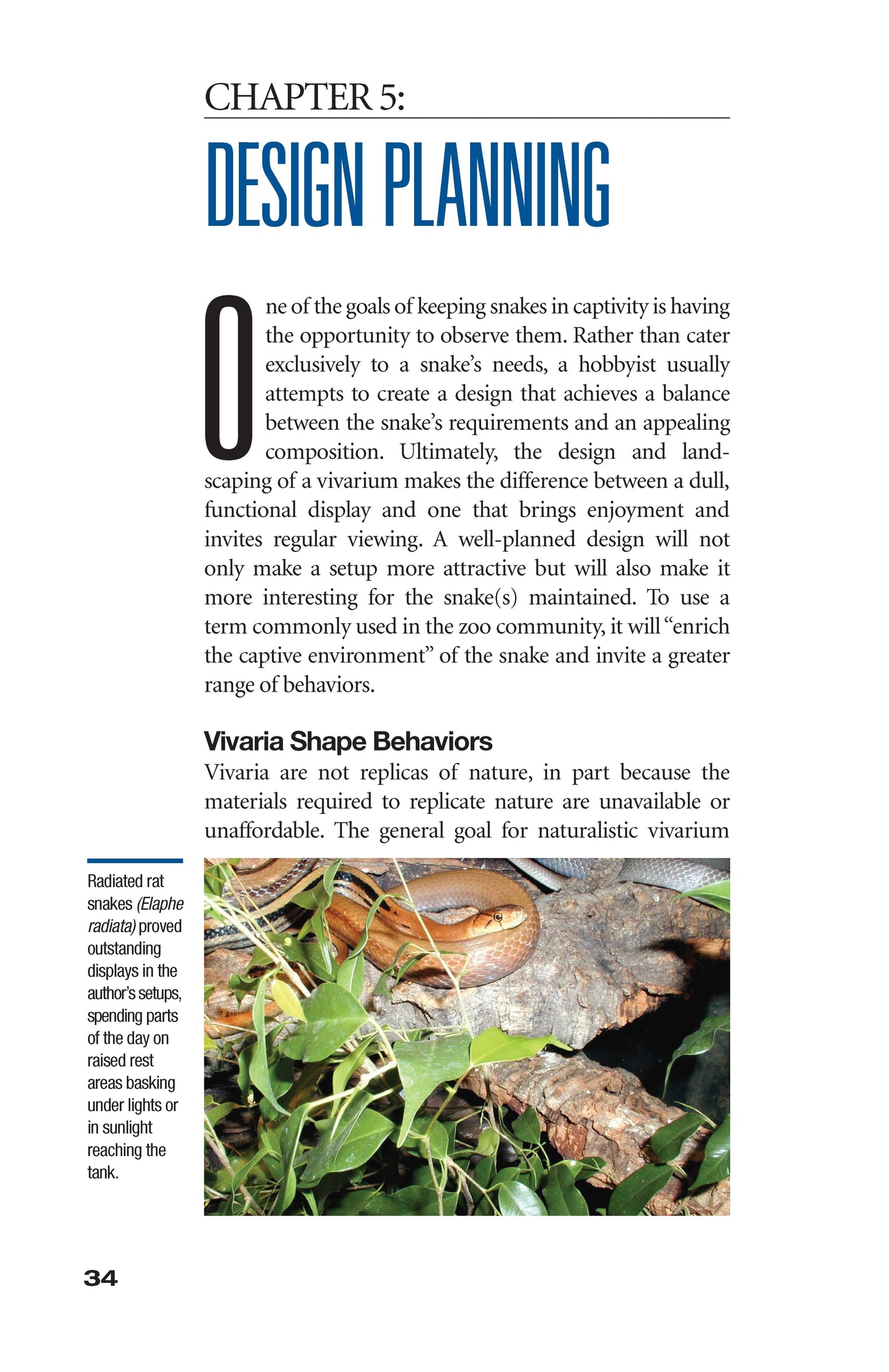 The Art of Keeping Snakes - Fox Chapel Publishing Co.