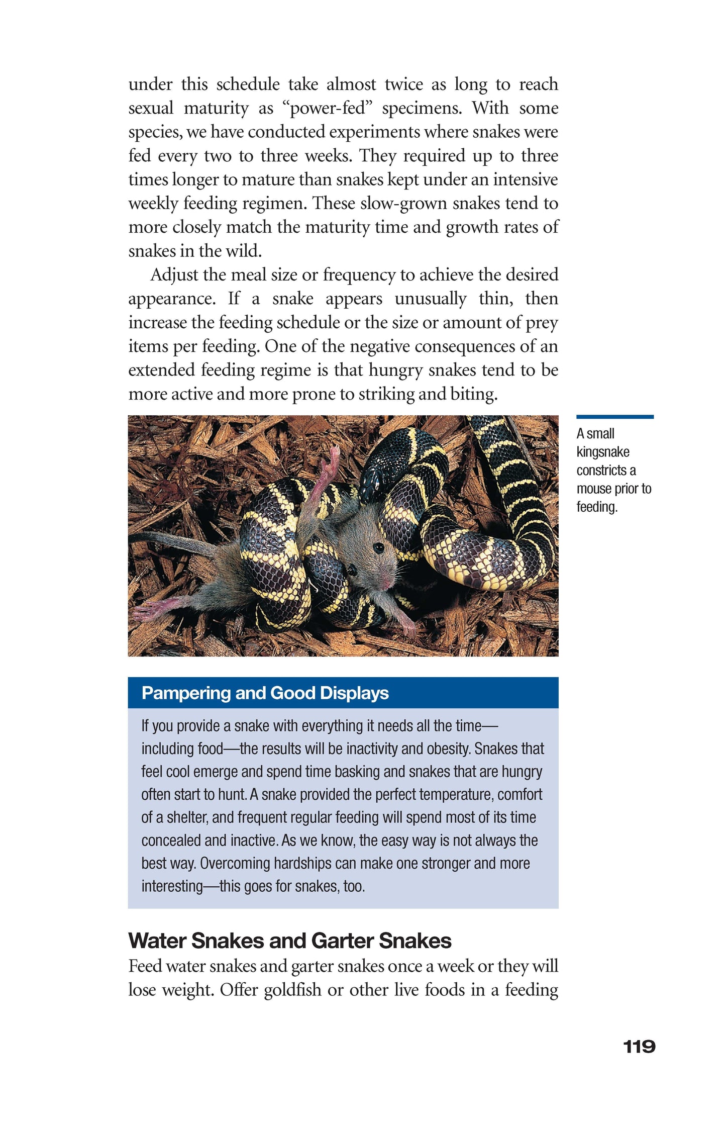 The Art of Keeping Snakes - Fox Chapel Publishing Co.