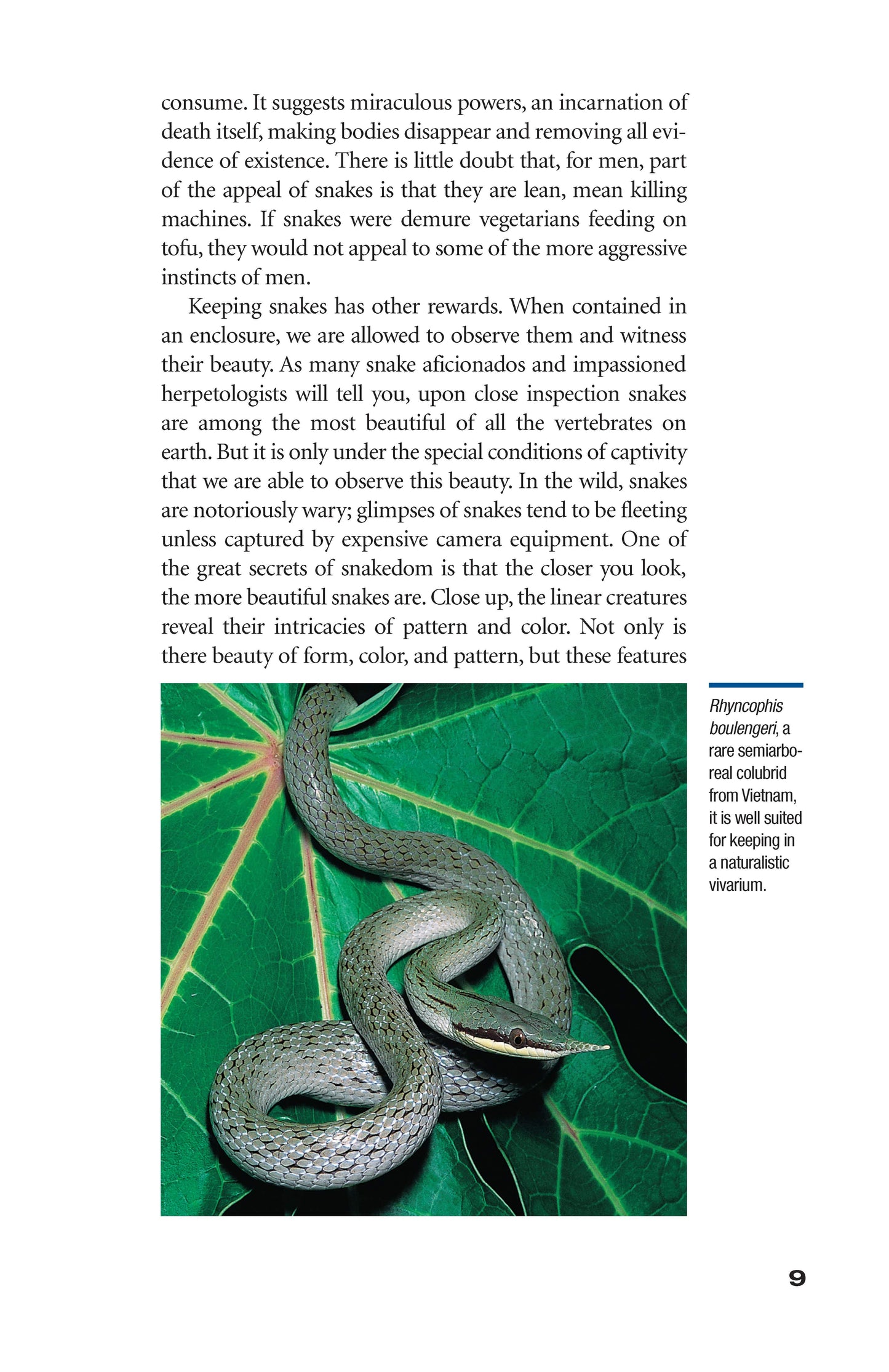 The Art of Keeping Snakes - Fox Chapel Publishing Co.