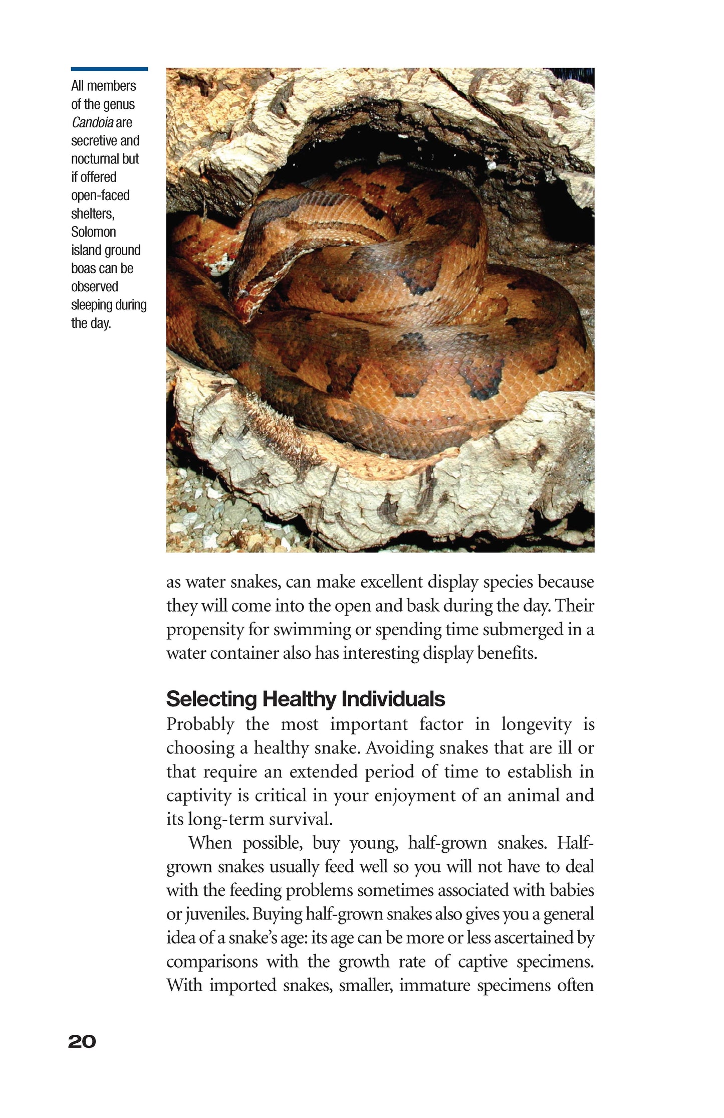 The Art of Keeping Snakes - Fox Chapel Publishing Co.