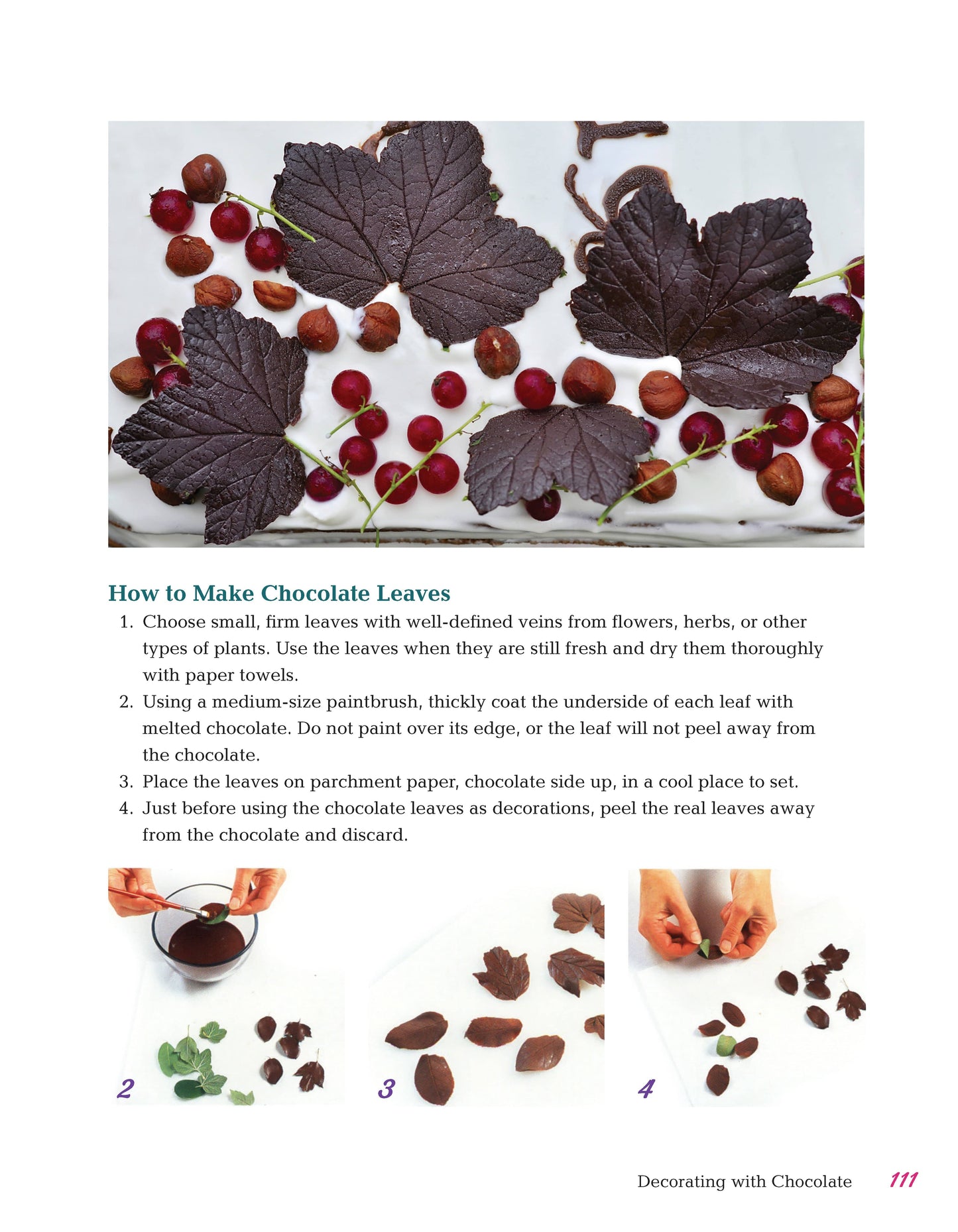 All-in-One Guide to Cake Decorating - Fox Chapel Publishing Co.
