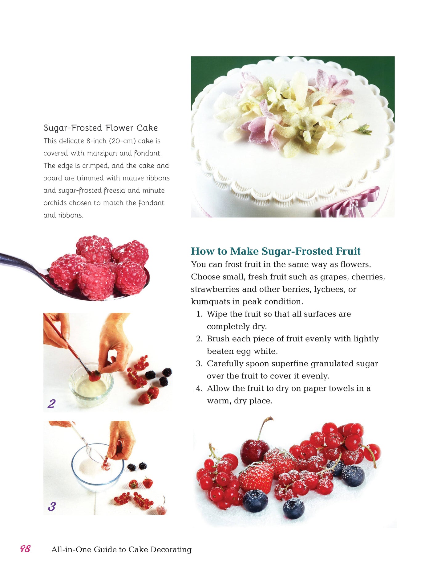 All-in-One Guide to Cake Decorating - Fox Chapel Publishing Co.