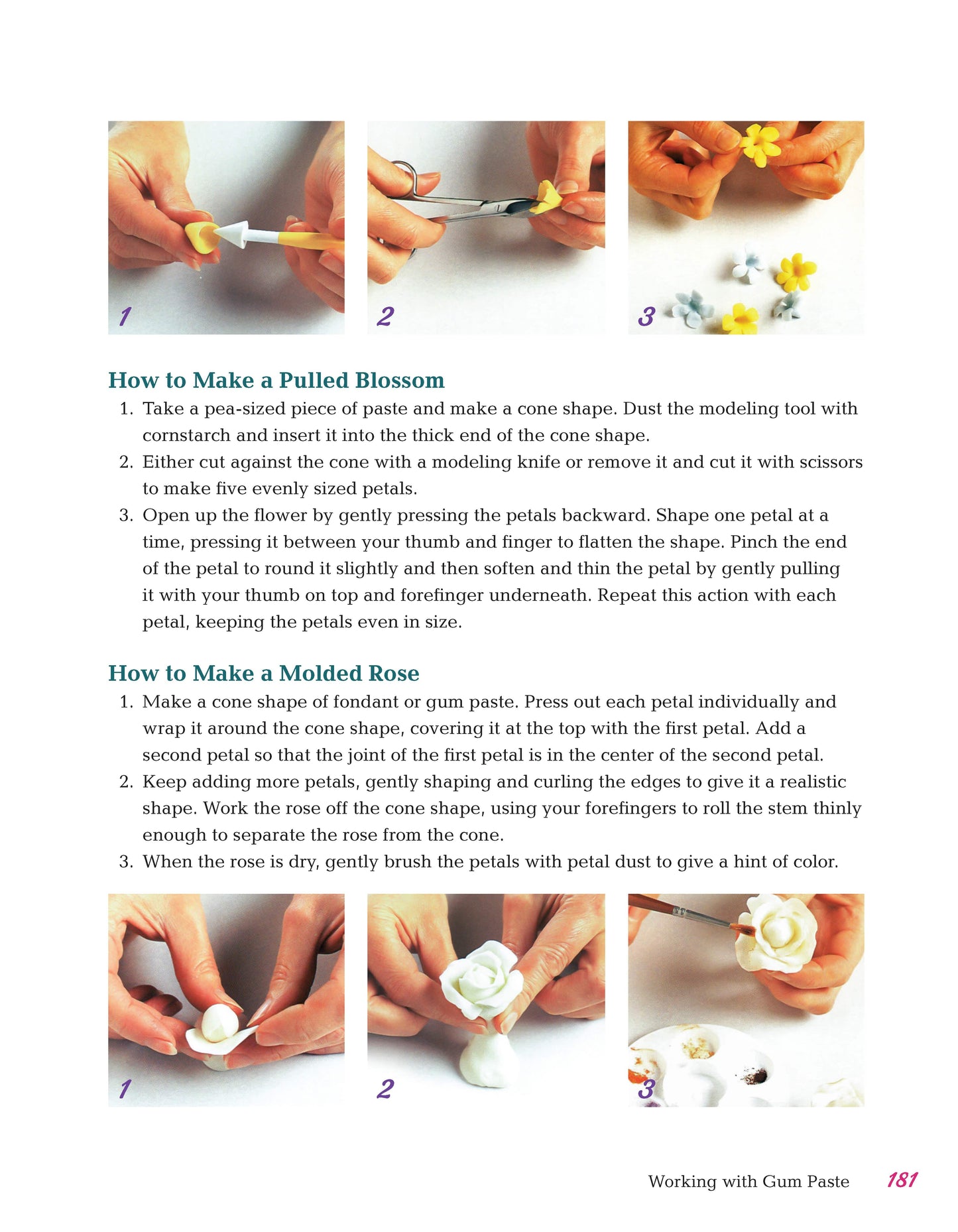All-in-One Guide to Cake Decorating - Fox Chapel Publishing Co.