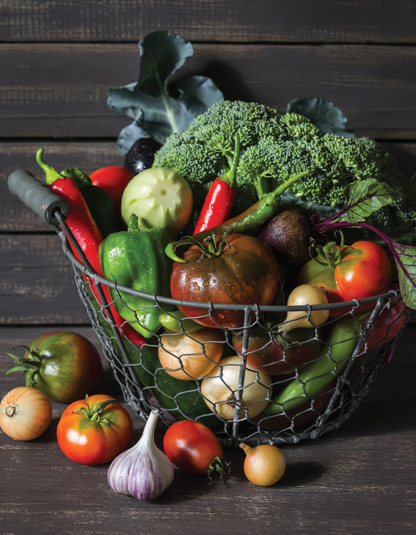 Organic Gardening Techniques