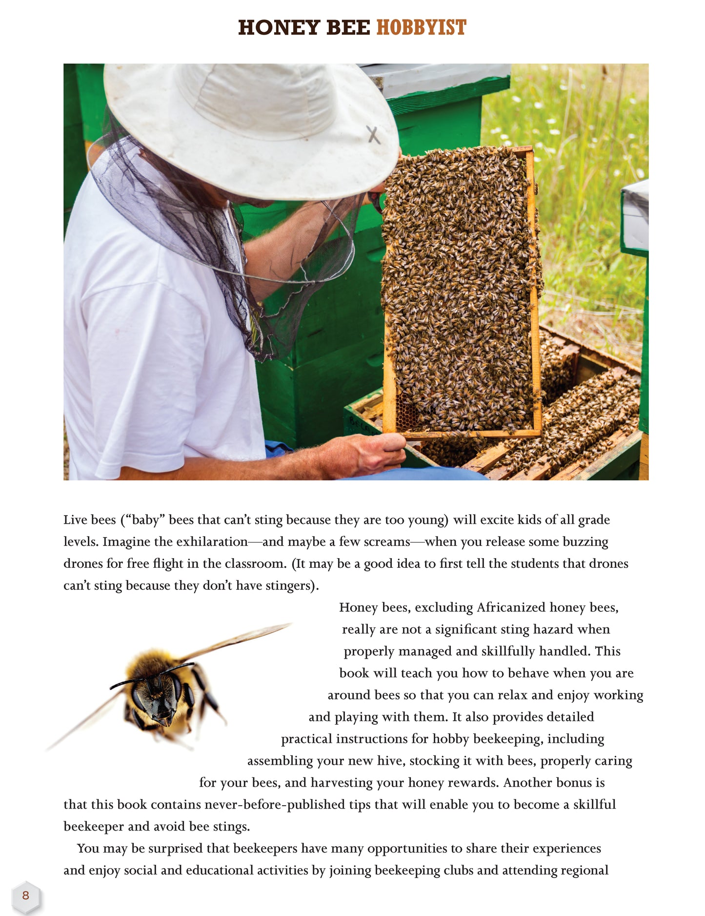Honey Bee Hobbyist, 2nd Edition - Fox Chapel Publishing Co.