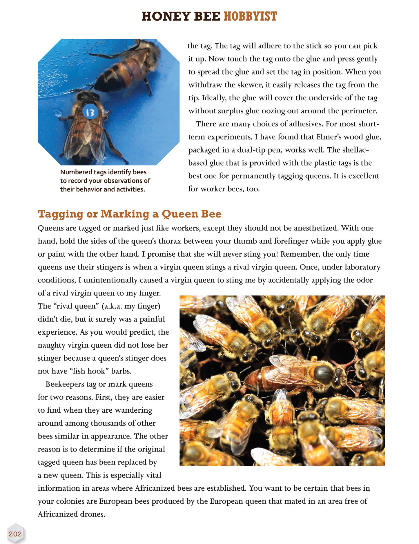 Honey Bee Hobbyist, 2nd Edition - Fox Chapel Publishing Co.