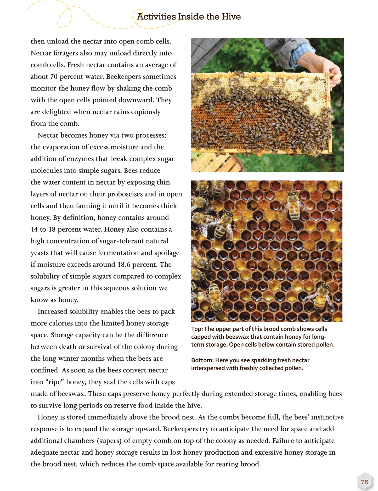 Honey Bee Hobbyist, 2nd Edition - Fox Chapel Publishing Co.