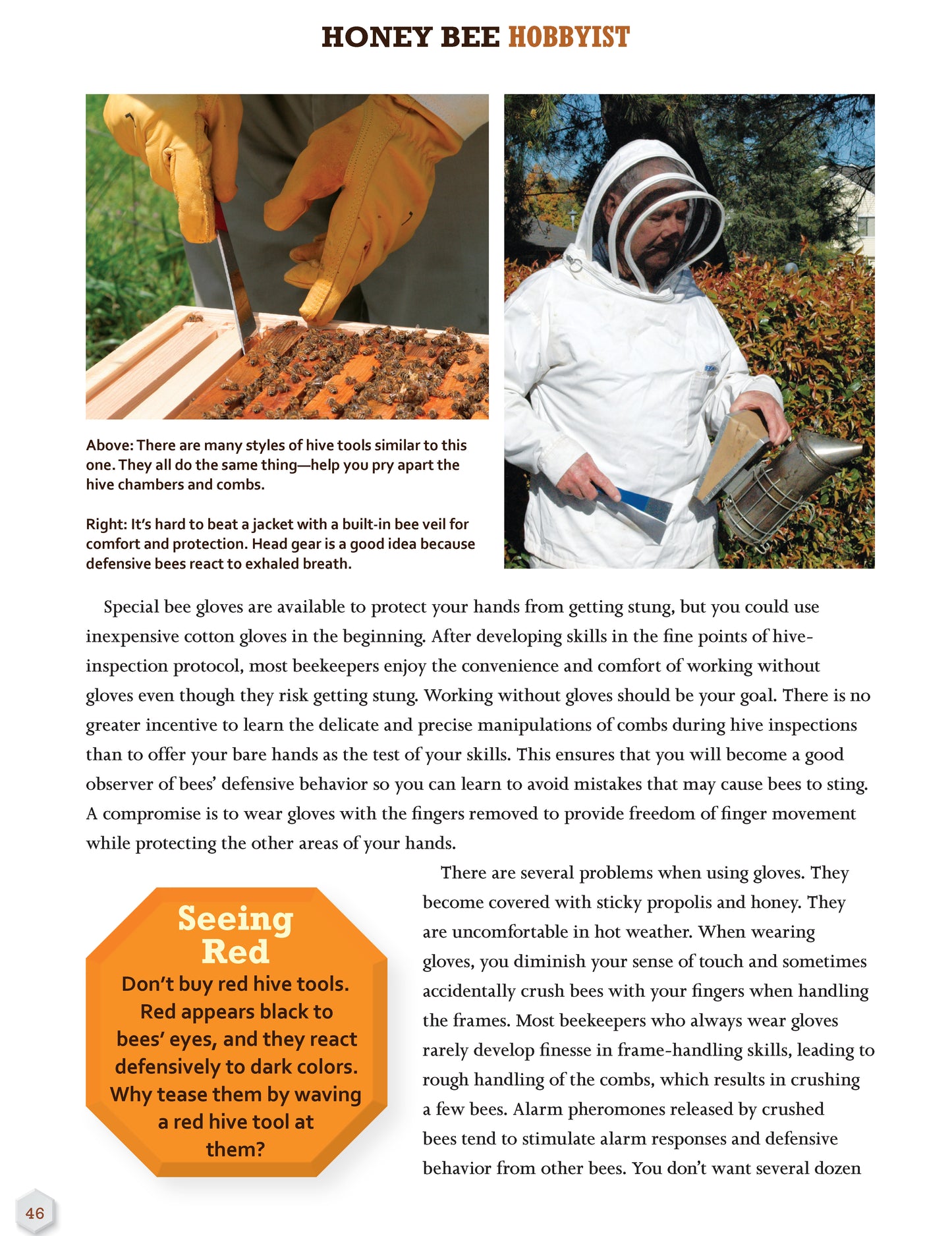 Honey Bee Hobbyist, 2nd Edition - Fox Chapel Publishing Co.