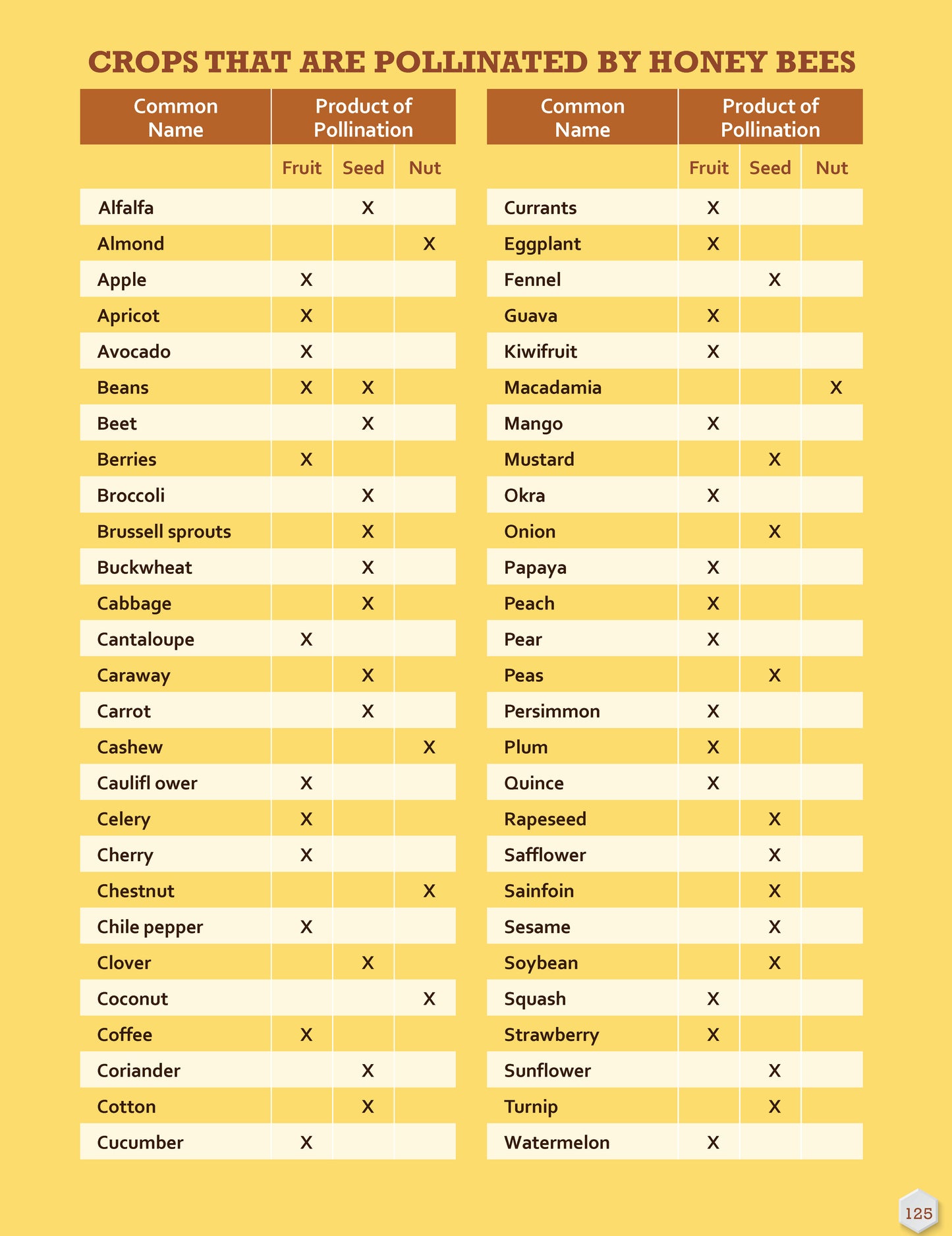 Honey Bee Hobbyist, 2nd Edition