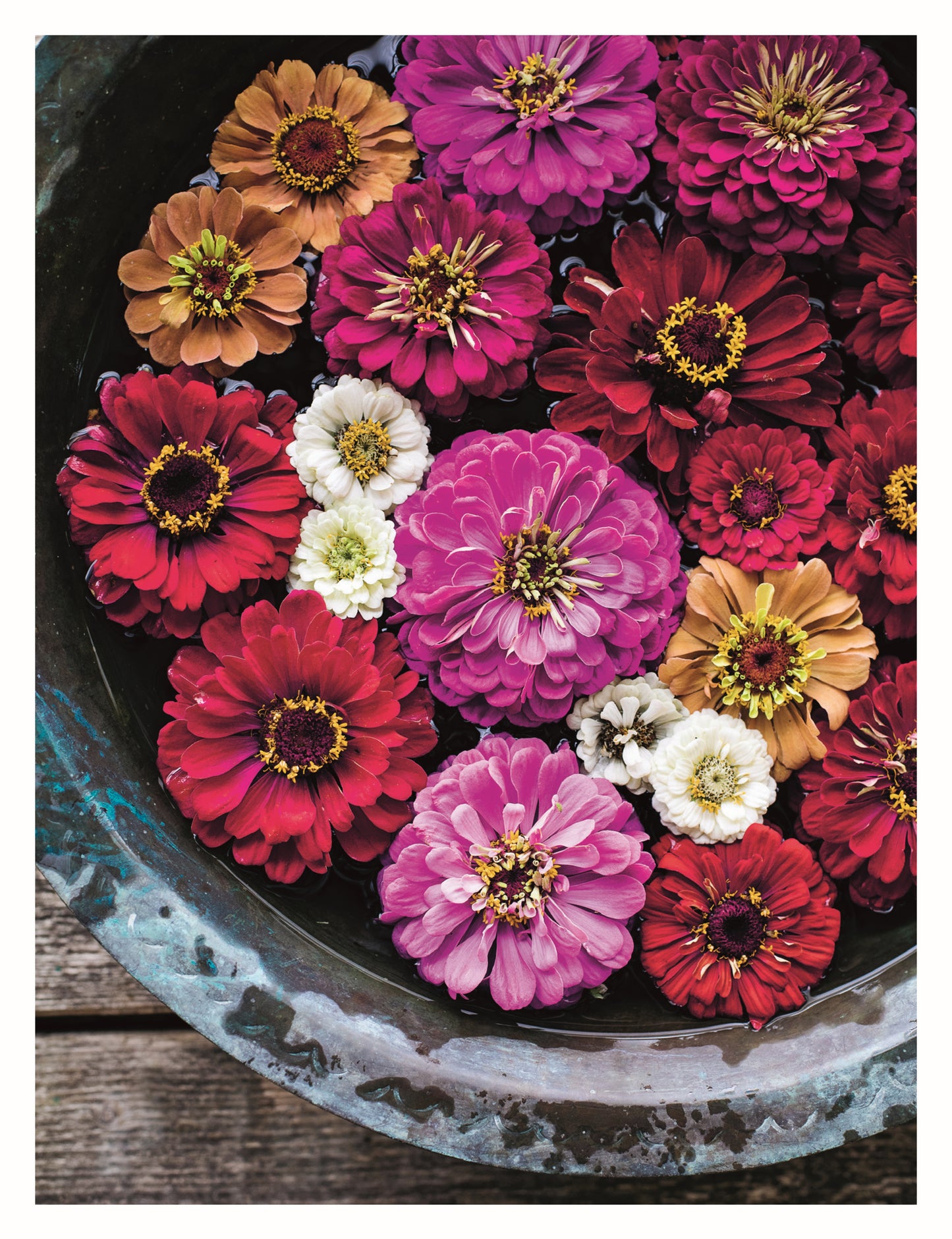 In Bloom - Fox Chapel Publishing Co.