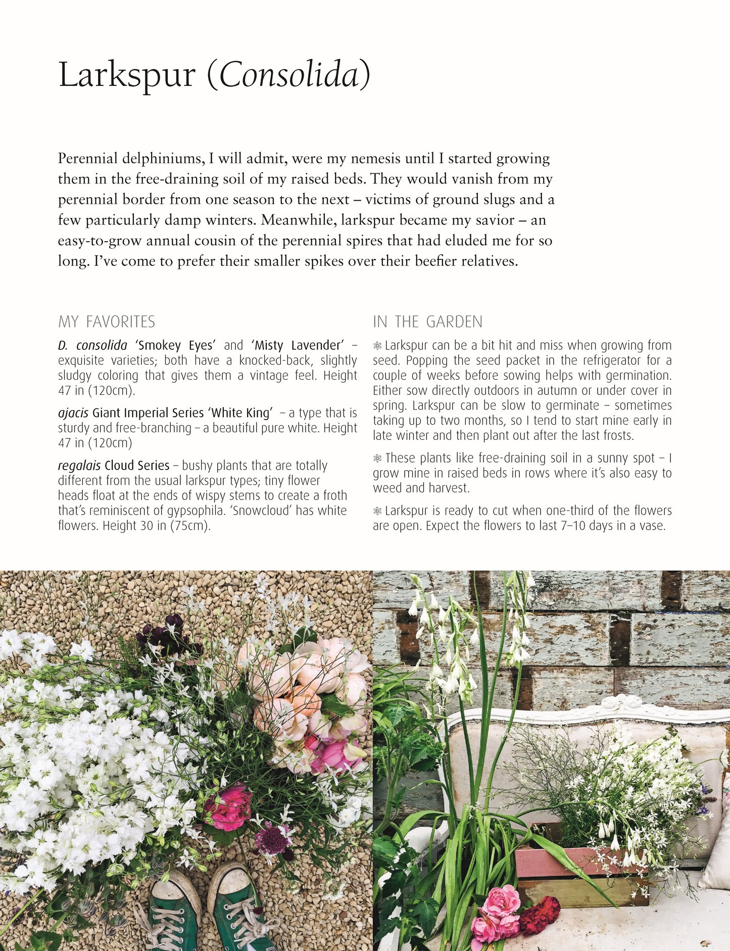 In Bloom - Fox Chapel Publishing Co.
