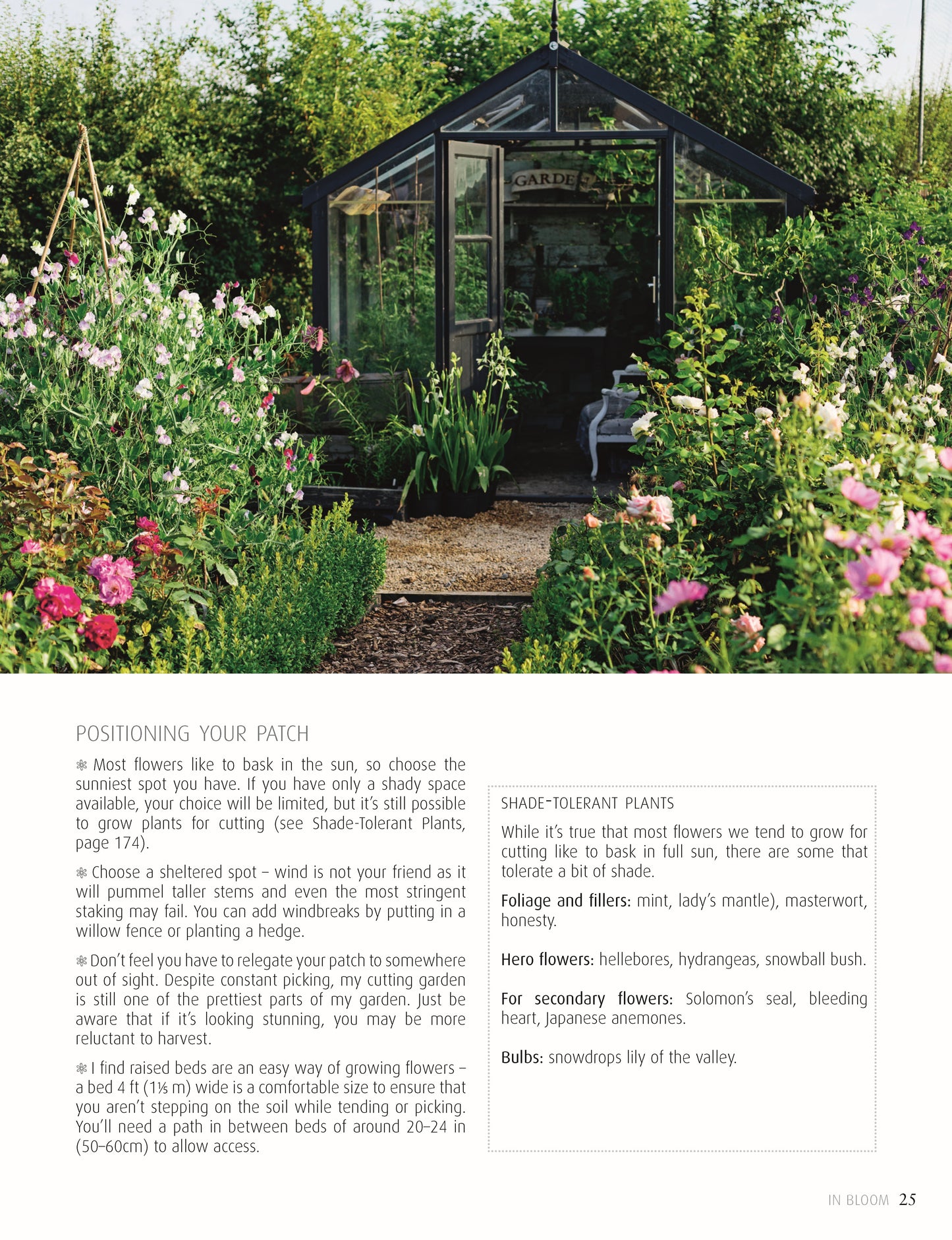 In Bloom - Fox Chapel Publishing Co.