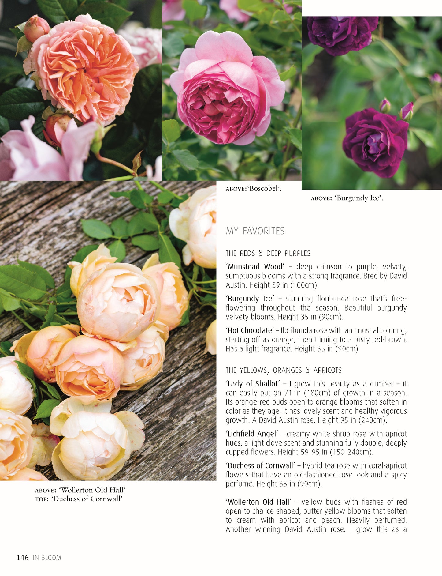 In Bloom - Fox Chapel Publishing Co.