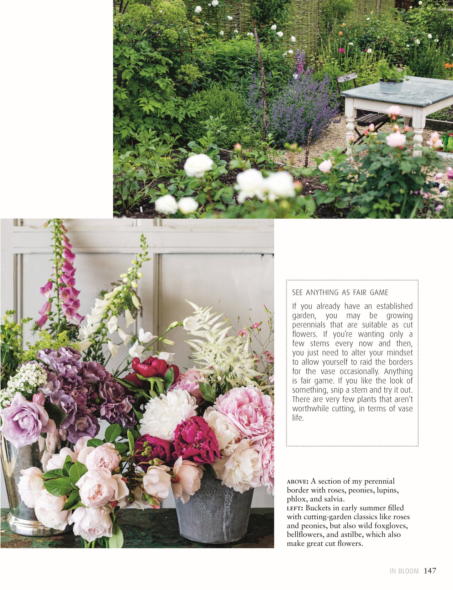 In Bloom - Fox Chapel Publishing Co.