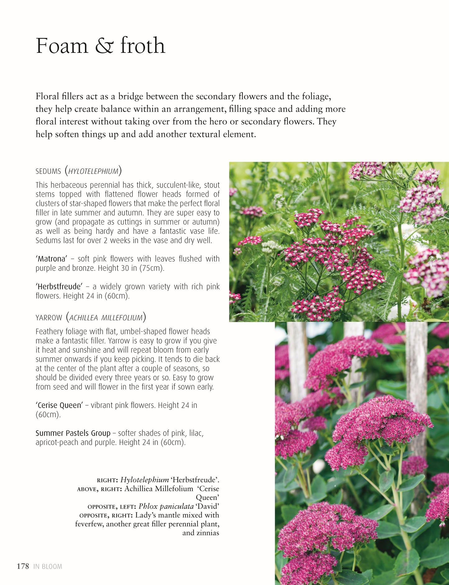 In Bloom - Fox Chapel Publishing Co.