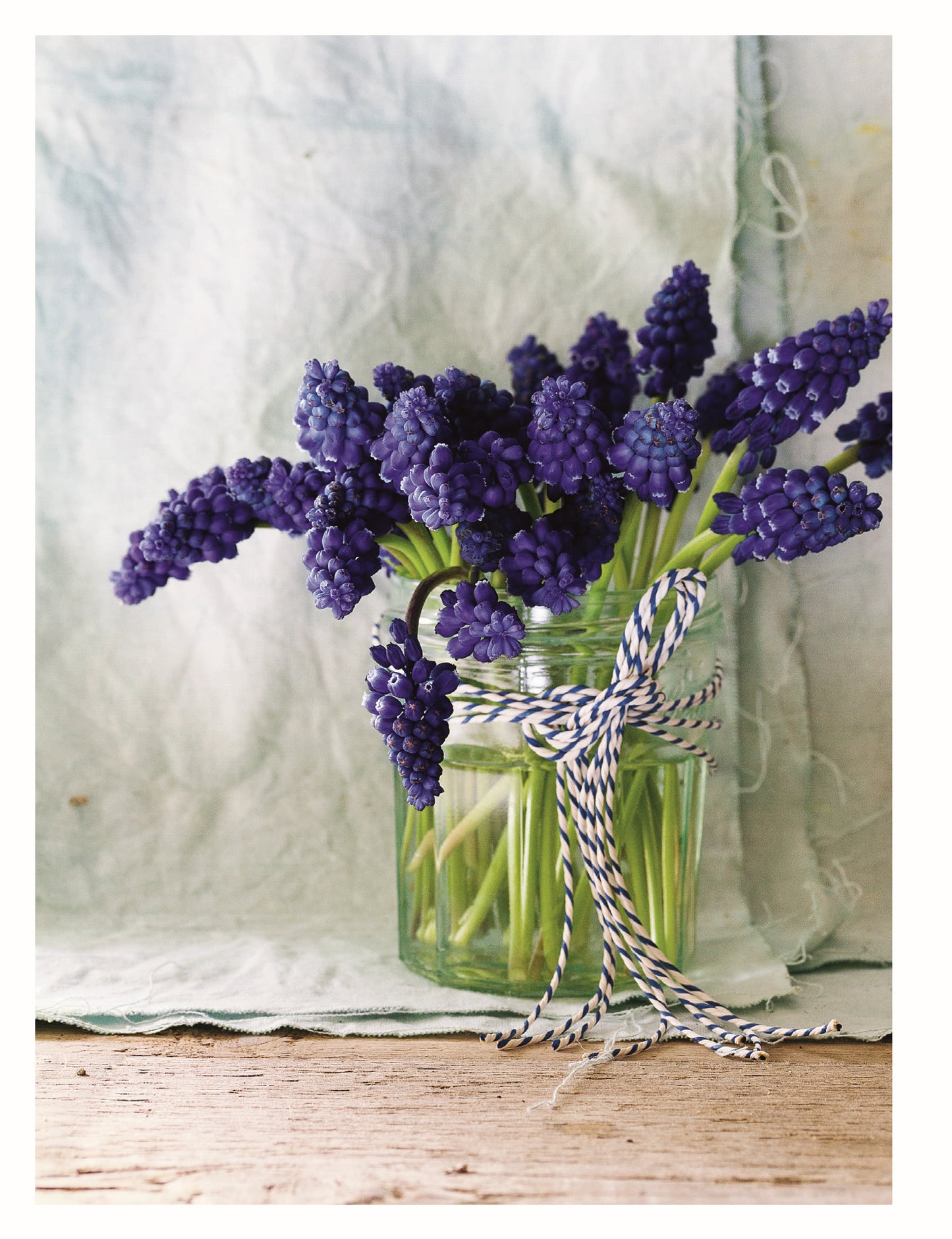 In Bloom - Fox Chapel Publishing Co.